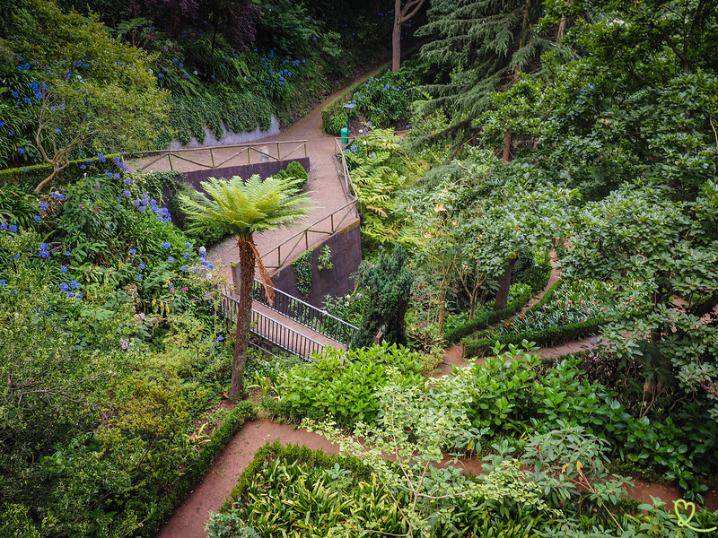 visit-public-garden-mount-funchal