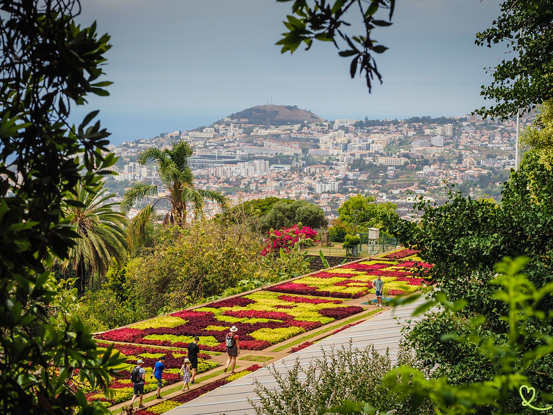 visiter jardin botanique madere