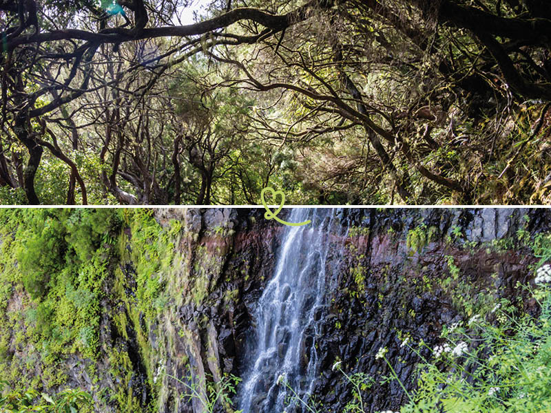 levada_risco escursione a madeira