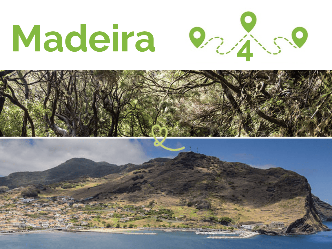 bezoek madeira route 4 dagen.fr