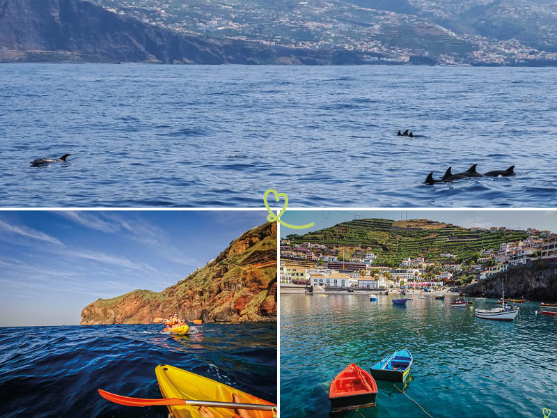 melhores-excursoes-a-partir-funchal
