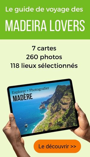 E-bok: Reseguide till Madeira